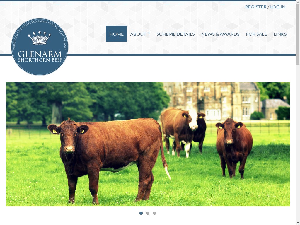 Business Website & Portal